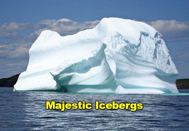 Torngat Labrador Icebergs