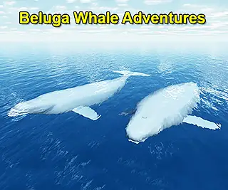 Churchill Beluga Whale Adventures