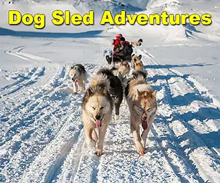 Churchill Dog Sledding Adventures