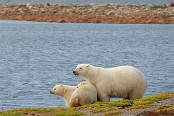 BC Aircraft Charters