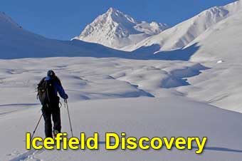 Icefield discovery