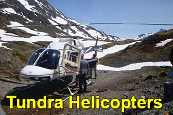 Icefield discovery