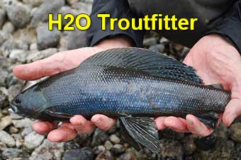 H2O Troutfitter